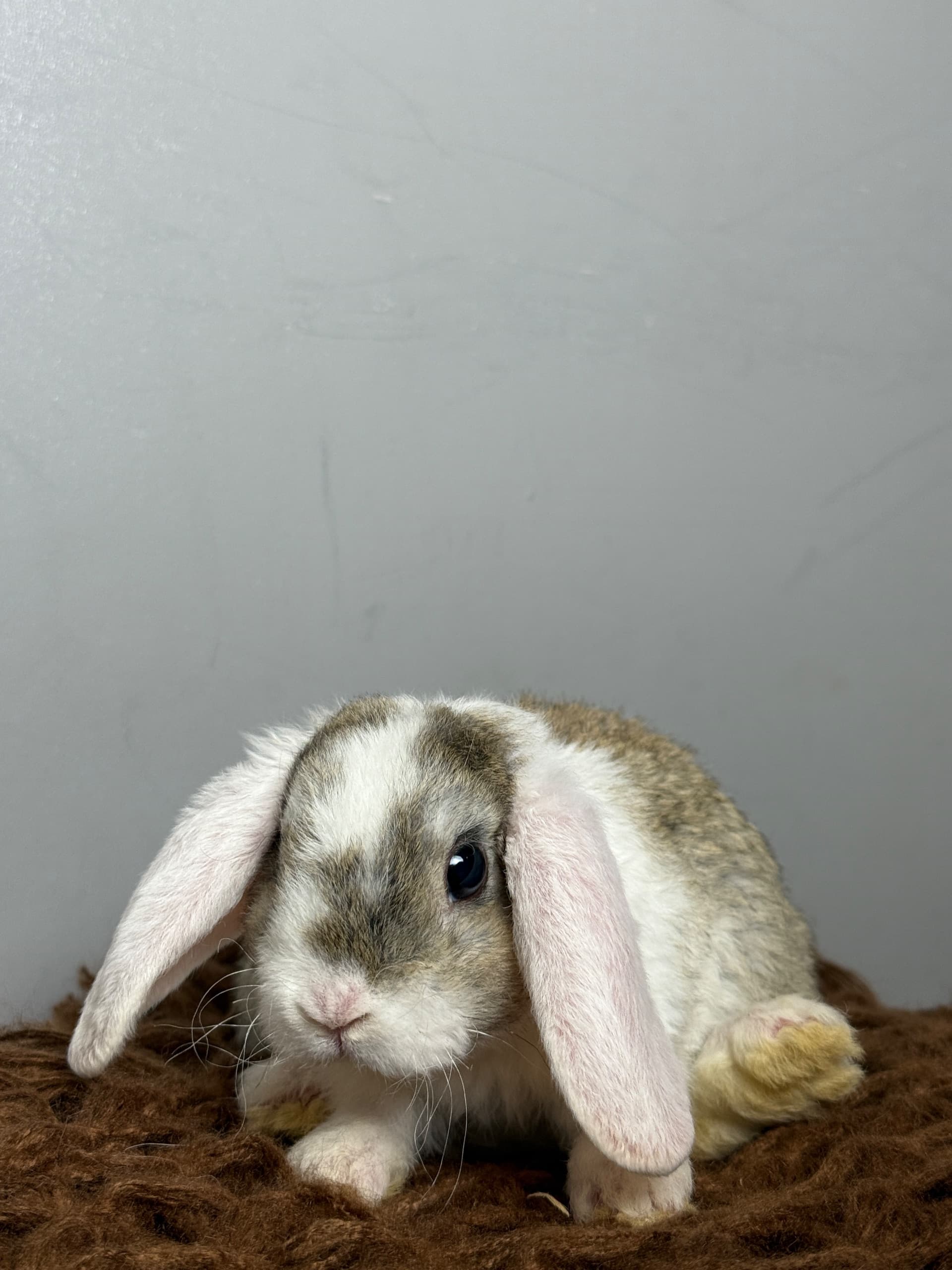 IMG_4923